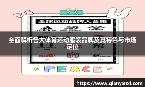 全面解析各大体育运动服装品牌及其特色与市场定位